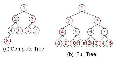 complete/Full Tree